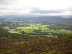 Above Newtonmore Highlands