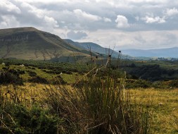 Black Mountains Powys