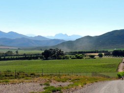 Breede River valley Western Cape